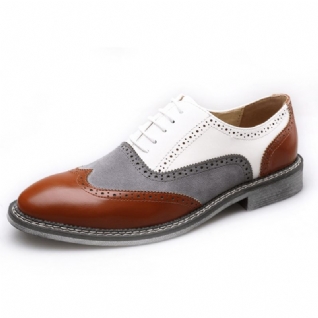 Hommes Brogue Colorblock Oxfords Lace Up Business Casual Chaussures Formelles